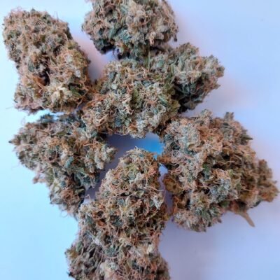 African Gas (F) - Image 4