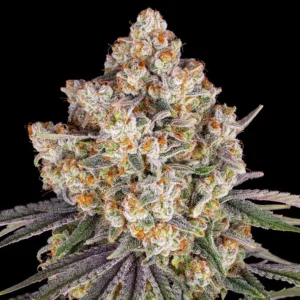ice-cream-cake-cannabis-seeds-by-barneys-farm1 Ice Cream Cake (F)